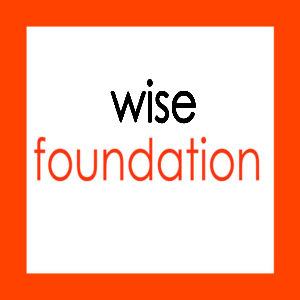 wise foundation adidem group